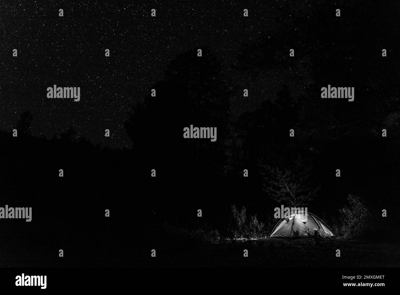 Une photo en noir et blanc d'une tente touristique brille sur le fond des arbres près de la montagne et le ciel nocturne avec des étoiles. Banque D'Images