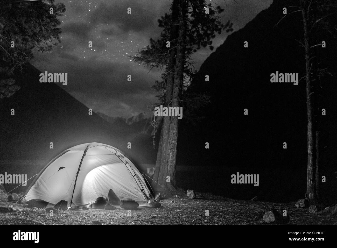 Photo abstraite en noir et blanc d'une tente touristique légère de voyageurs dans la forêt parmi les arbres. Banque D'Images