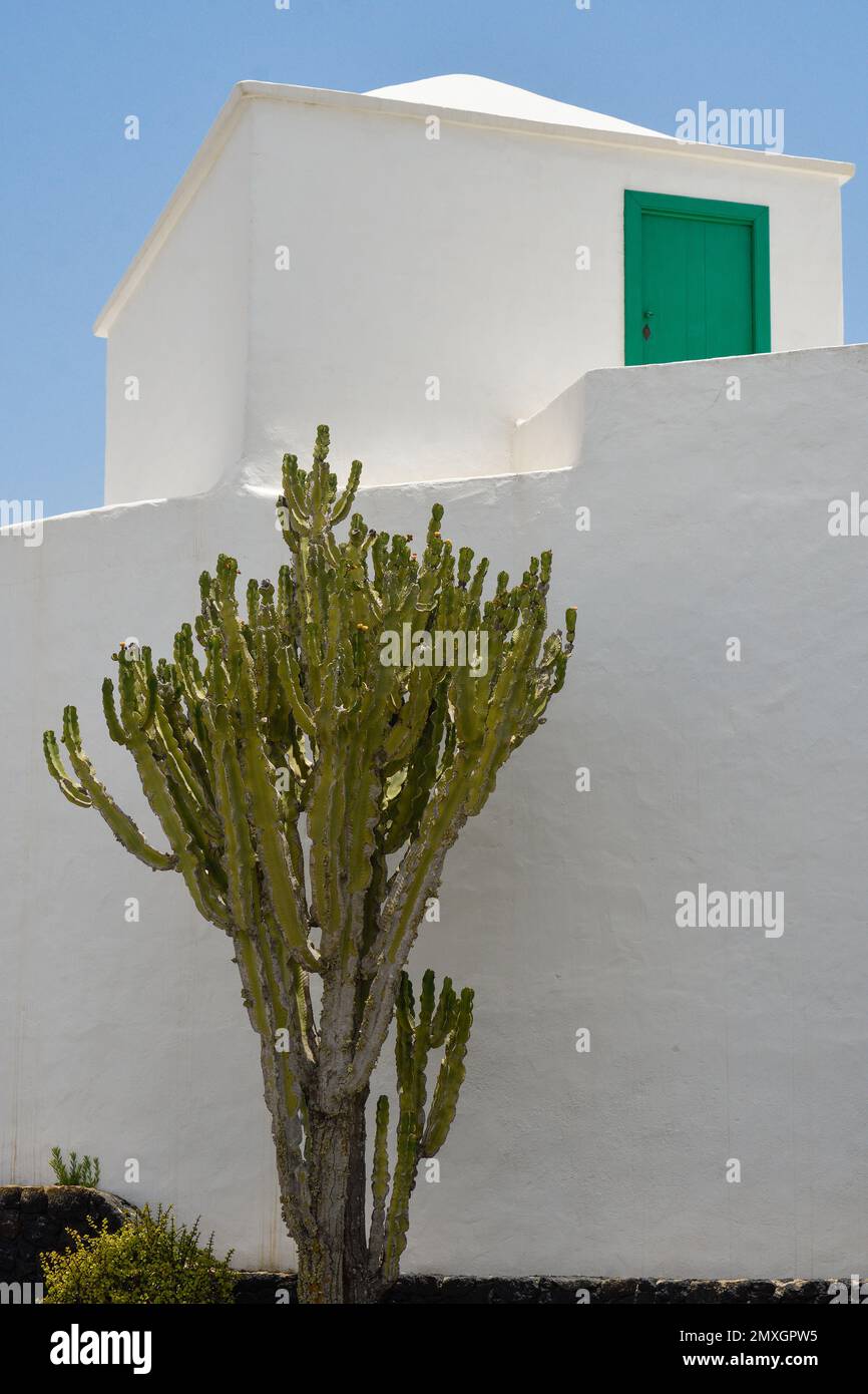 Photo verticale de cactus contre le mur blanc d'une maison à Lanzarote Banque D'Images