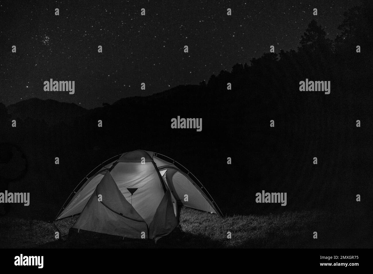 Photo en noir et blanc d'une tente touristique au-dessus d'un ciel étoilé dans une montagne boisée la nuit. Banque D'Images
