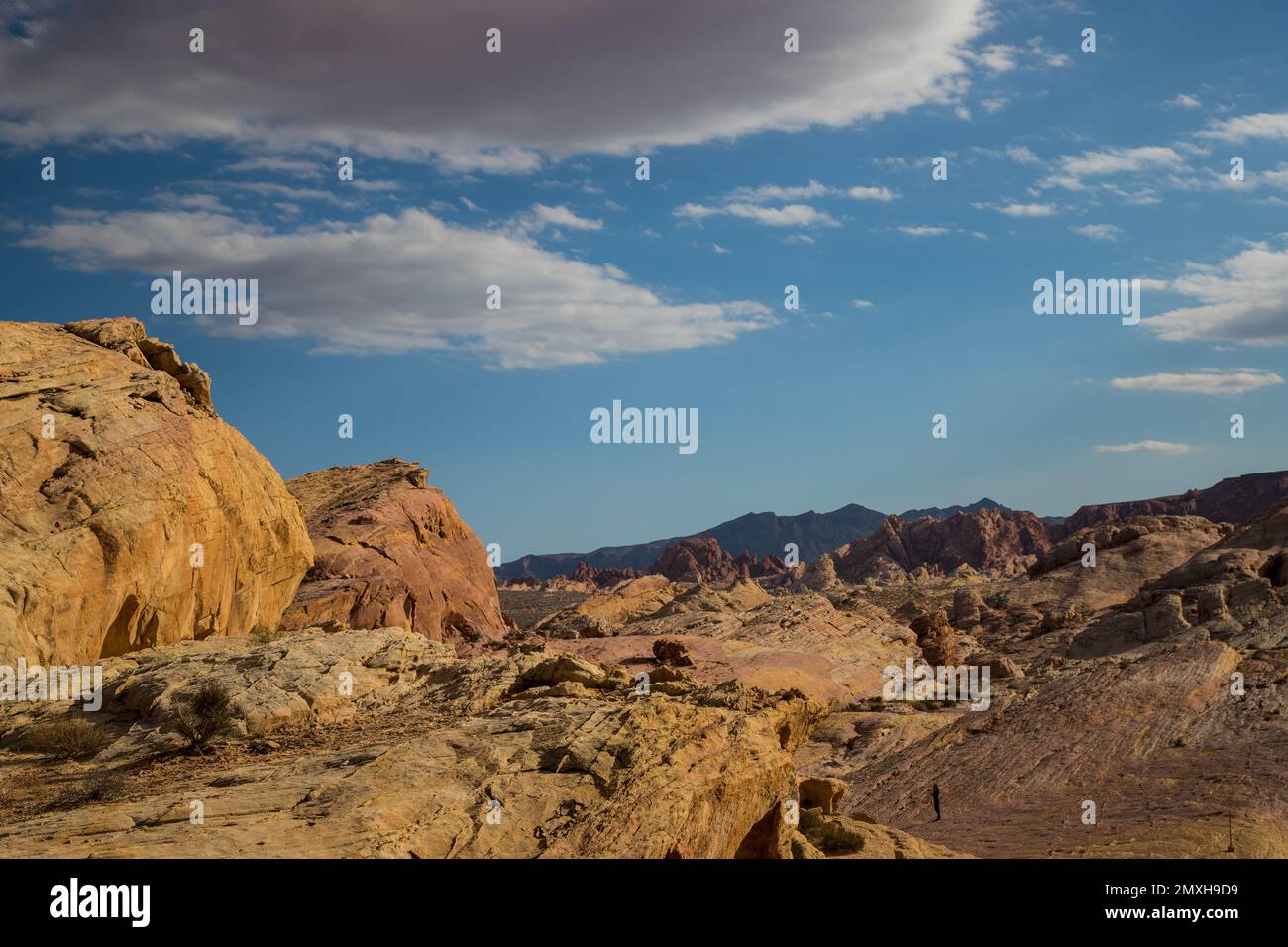 Valley of Fire Banque D'Images