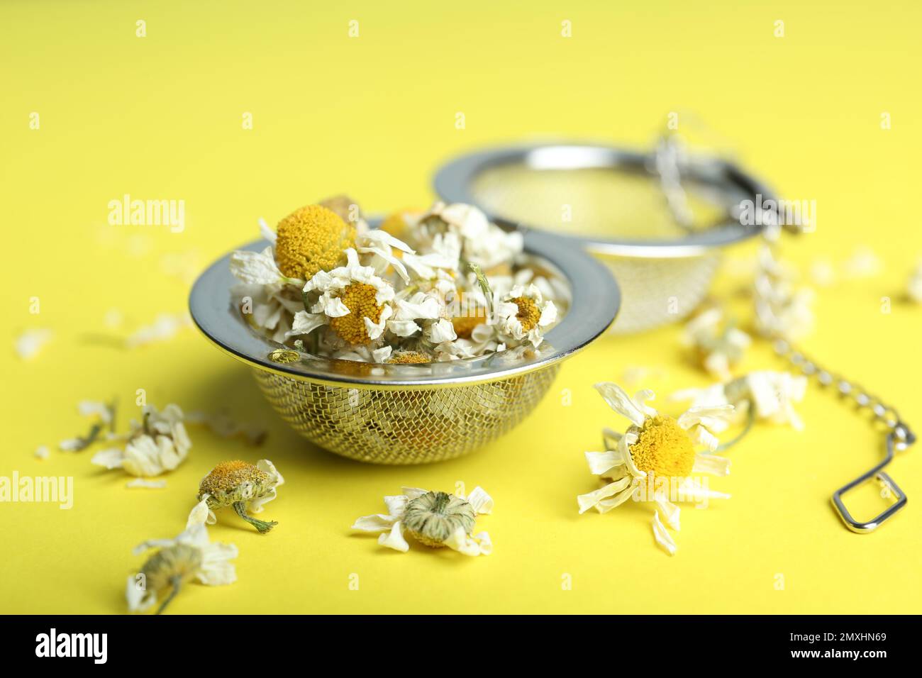Sécher les fleurs de camomille dans l'infuser sur fond jaune, gros plan Banque D'Images