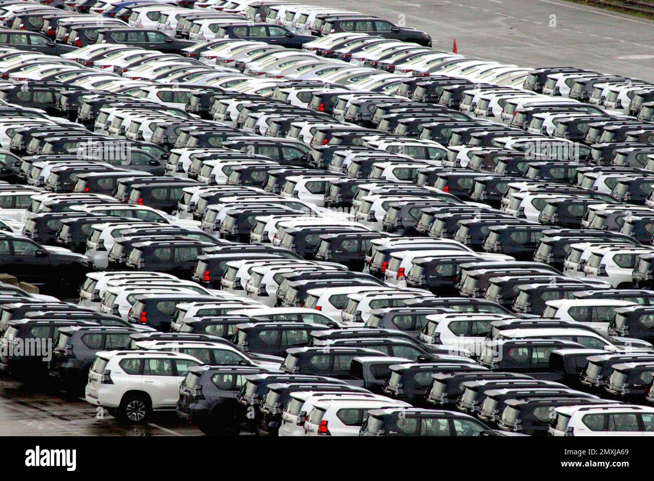 Des centaines de Toyota Land Cruiser Prado vus et de voitures Lexus attendent dans le stockage de véhicules stockés dans le port de Zeebrugge en attendant la distribution européenne. Banque D'Images