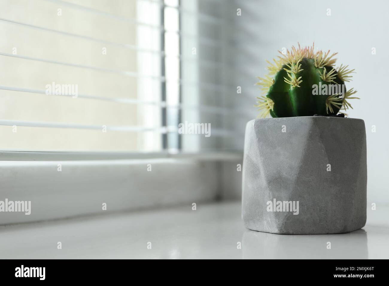 Belle plante artificielle en pot de fleur sur le seuil de la fenêtre. Espace pour le texte Banque D'Images