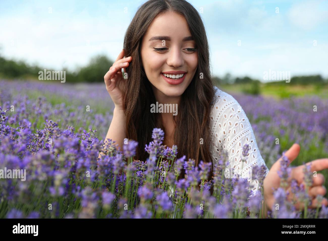 Jeune femme dans le champ de lavande le jour d'été Banque D'Images