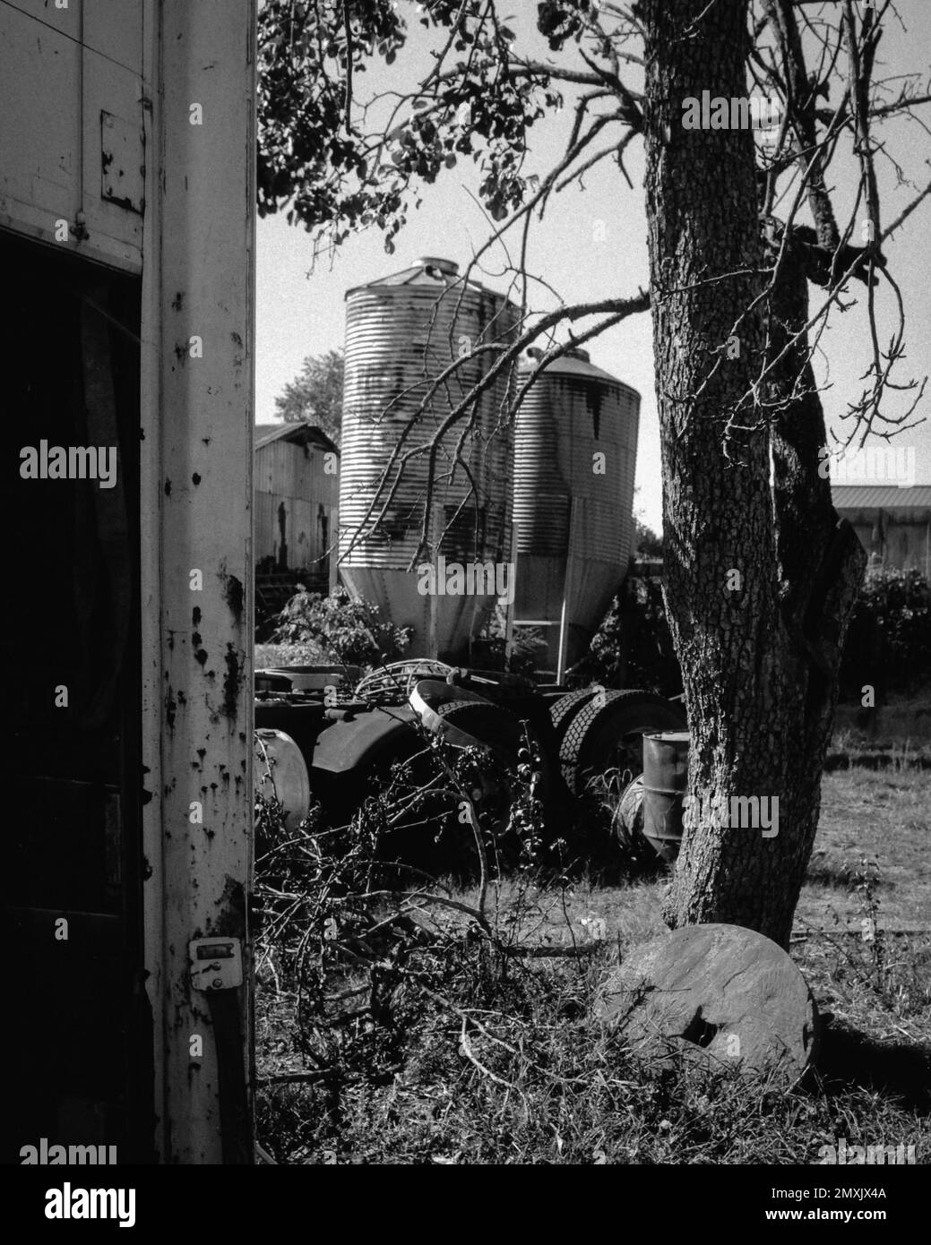Deux silos métalliques altérés se tiennent au soleil entre un camion et un arbre sur une ferme. Littleton, Massachusetts. L'image a été capturée en noir et blanc analogique Banque D'Images