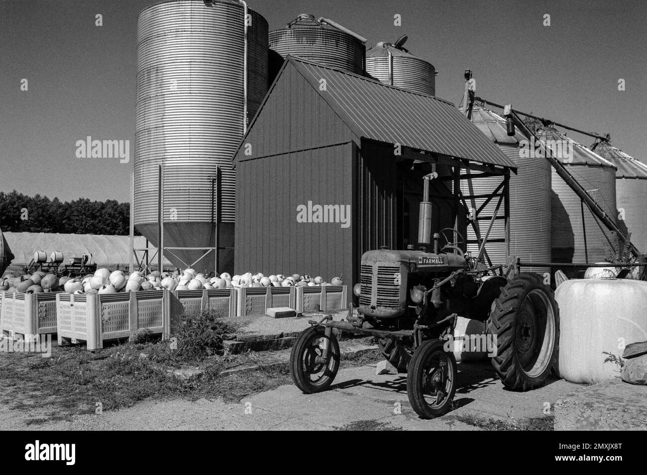 Un tracteur Farmall stationné devant une rangée ou un silo à céréales et des citrouilles en cage dans une ferme de Littleton, Massachusetts. L'image a été capturée sur le bac analogique Banque D'Images