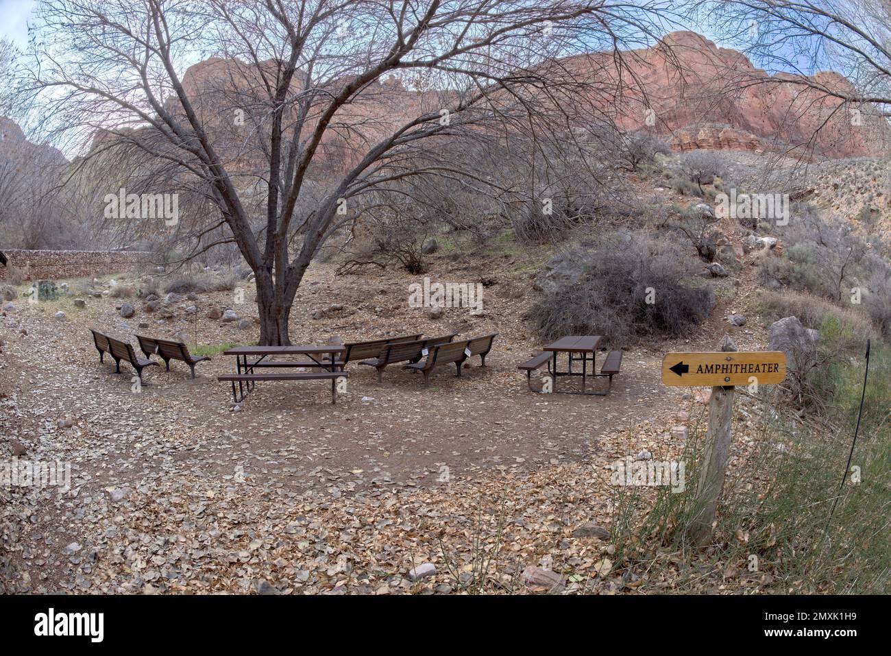 L'amphithéâtre de jour aux jardins Havasupai dans le Grand Canyon Arizona. Cette zone était appelée Indian Gardens sur des cartes plus anciennes. Banque D'Images