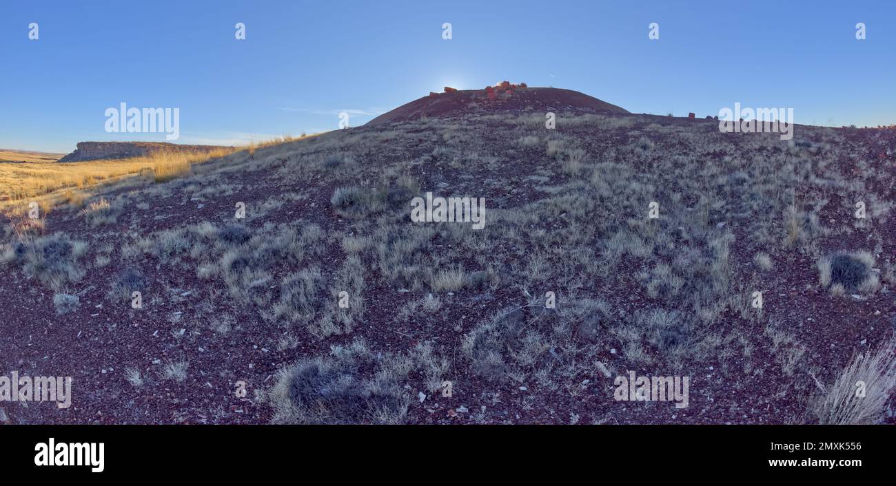 Un dôme d'argile bentonite au parc national de Petrified Forest, en Arizona, qui ressemble à une soucoupe volante à moitié enterrée. Banque D'Images