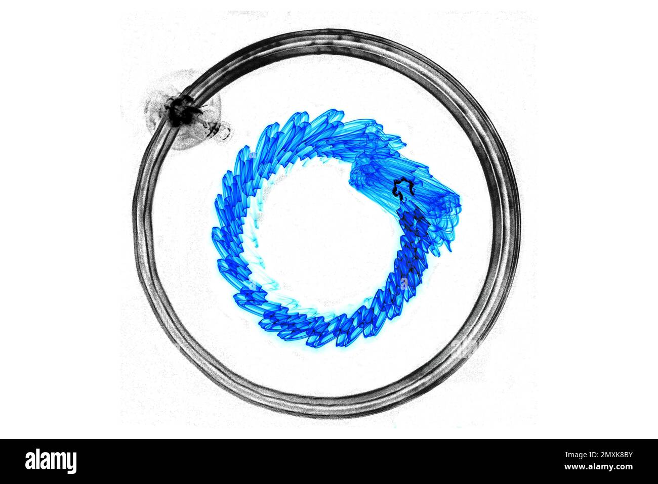 Arrière-plan lumineux, chiffres abstraits, exposition longue, mouvement, cercles, Photographie du pendule, Baden-Baden, Bade-Wurtemberg, Allemagne, Europe Banque D'Images