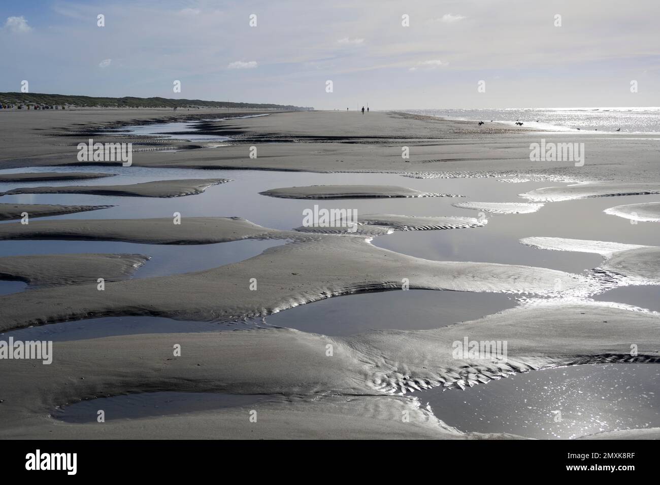 Plage de sable à marée basse avec des bassins de marée, île de Juist, Basse-Saxe Mer des Wadden, Mer du Nord, Frise orientale, Basse-Saxe, Allemagne, Europe Banque D'Images