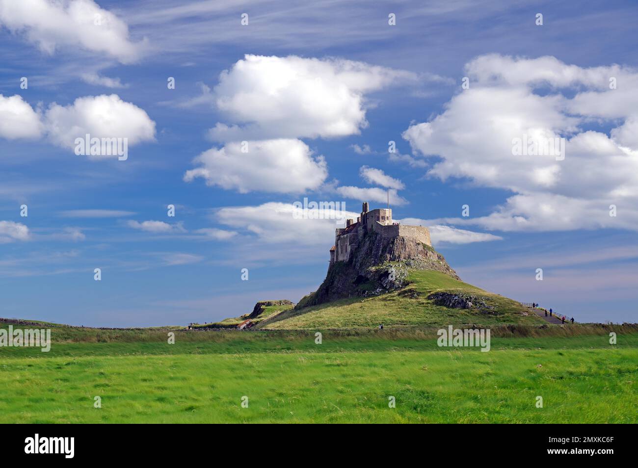 Château sur une colline au-dessus de la mer, grand paysage de prairie, Château de Lindisfarne, Île Sainte, Angleterre, Grande-Bretagne Banque D'Images