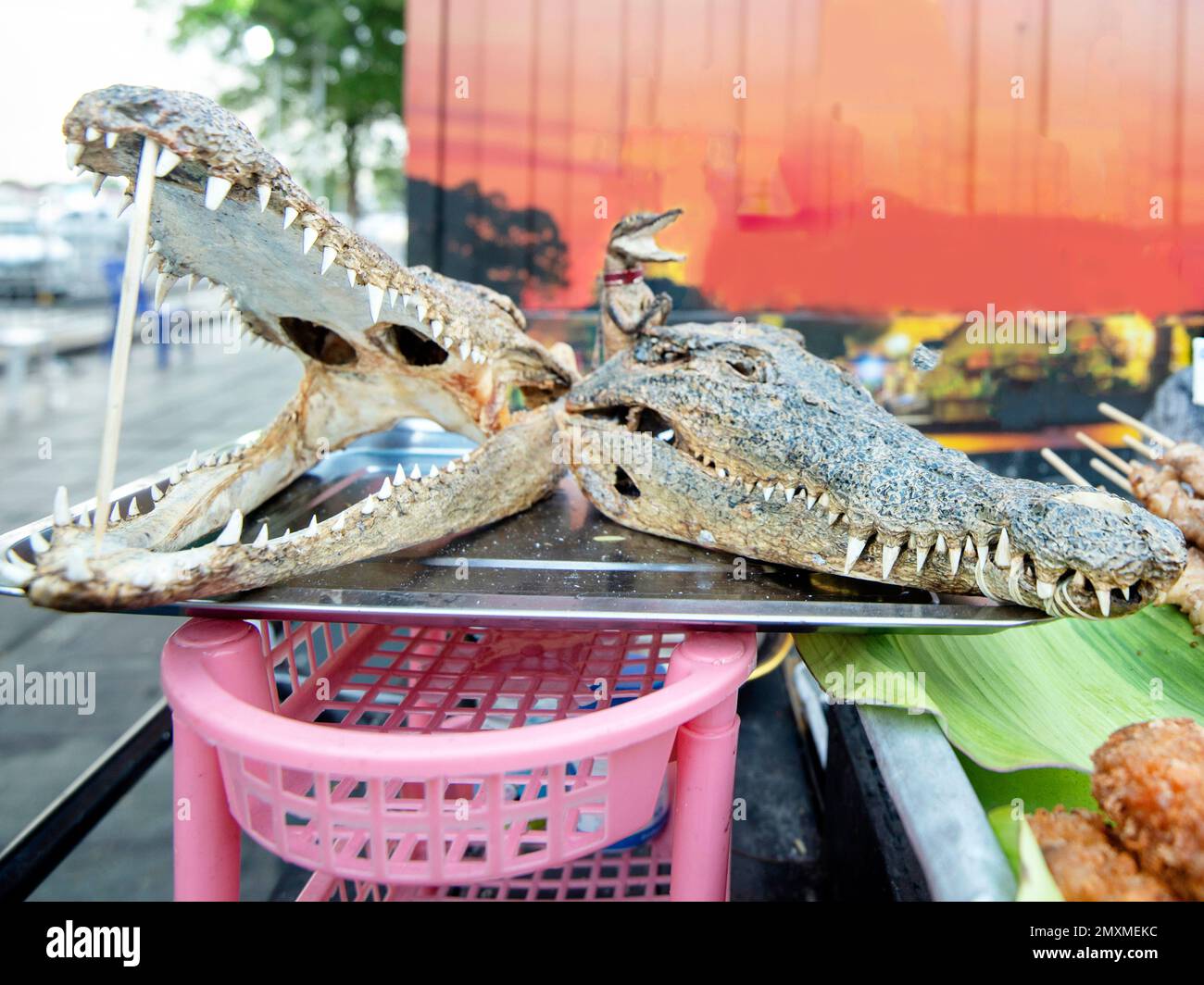 Une viande de crocodile, rue vendeur montre deux têtes de croc séchées, bouche agape, avec des dents tranchantes, à côté de divers kebabs et d'autres préparations de la viande, Banque D'Images
