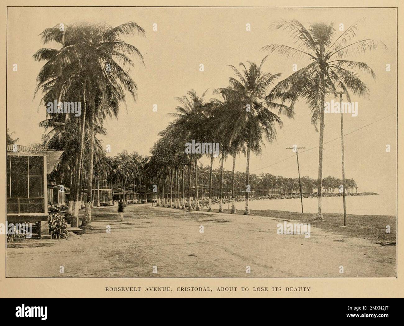 Roosevelt Avenue, Cristobal, sur le point de perdre sa beauté du livre Panama et le Canal en image et en prose : Une histoire complète du Panama, ainsi que l'histoire, le but et la promesse de son canal mondialement connu la plus gigantesque entreprise d'ingénierie depuis l'aube du temps par Willis John Abbot,1863-1934 publié à Londres ; New York par Syndicate Publishing Co. En 1913 Banque D'Images