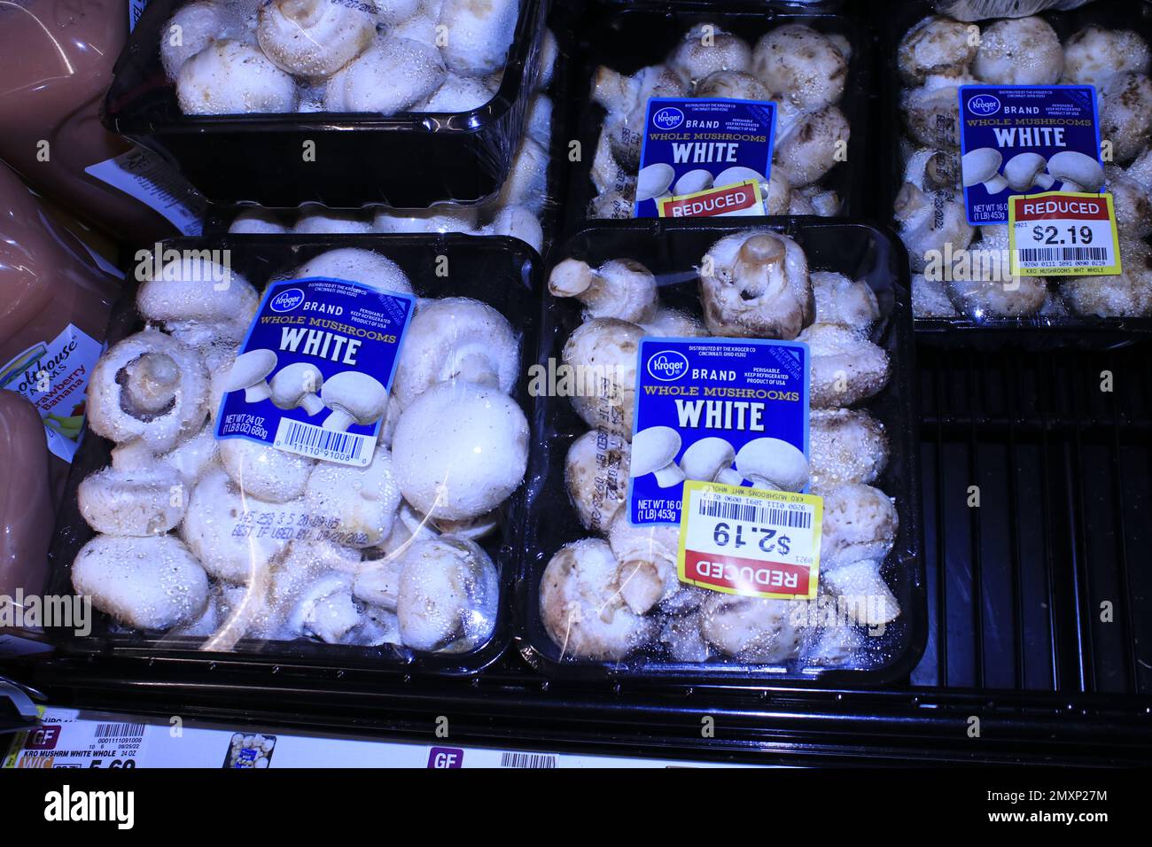 Champignons blancs Kroger en paquets dans une glacière Banque D'Images