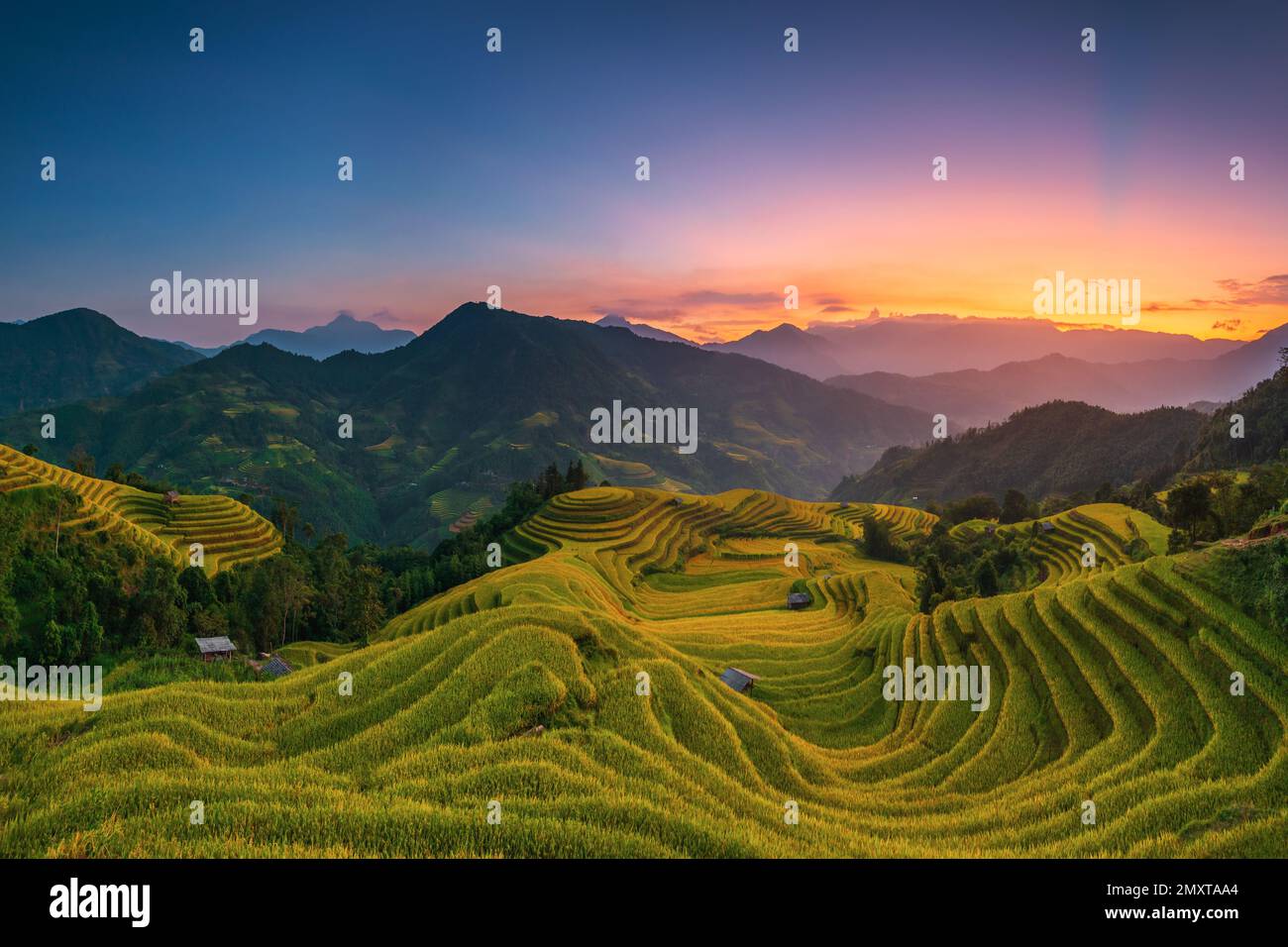 Coucher de soleil sur Hoang su Phi, Ha Giang, terrasse de riz du Vietnam Banque D'Images