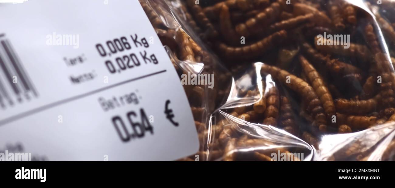 Mealworms approuvé comme nourriture humaine Banque D'Images