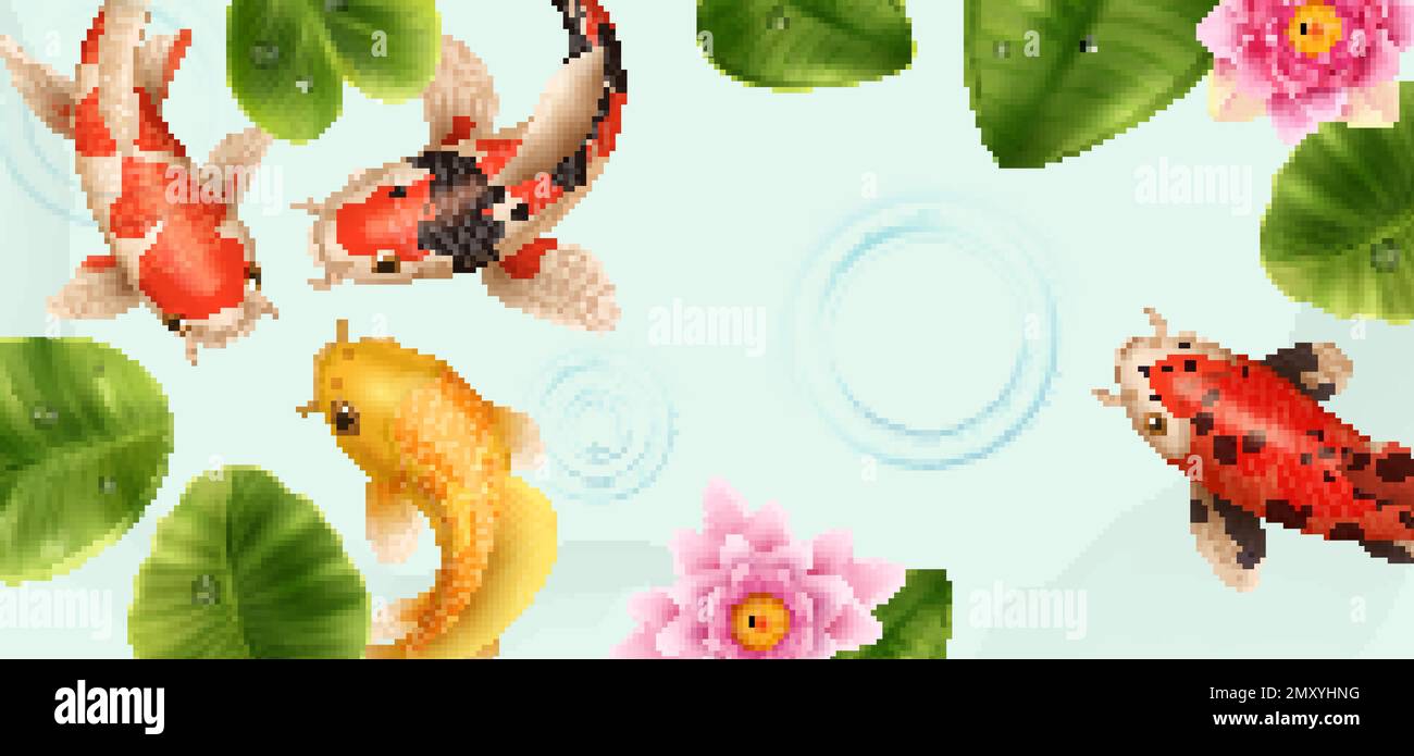 Composition réaliste de poissons koi avec vue de dessus du lac avec des feuilles de fleurs de lotus et illustration de vecteurs de poissons colorés Illustration de Vecteur