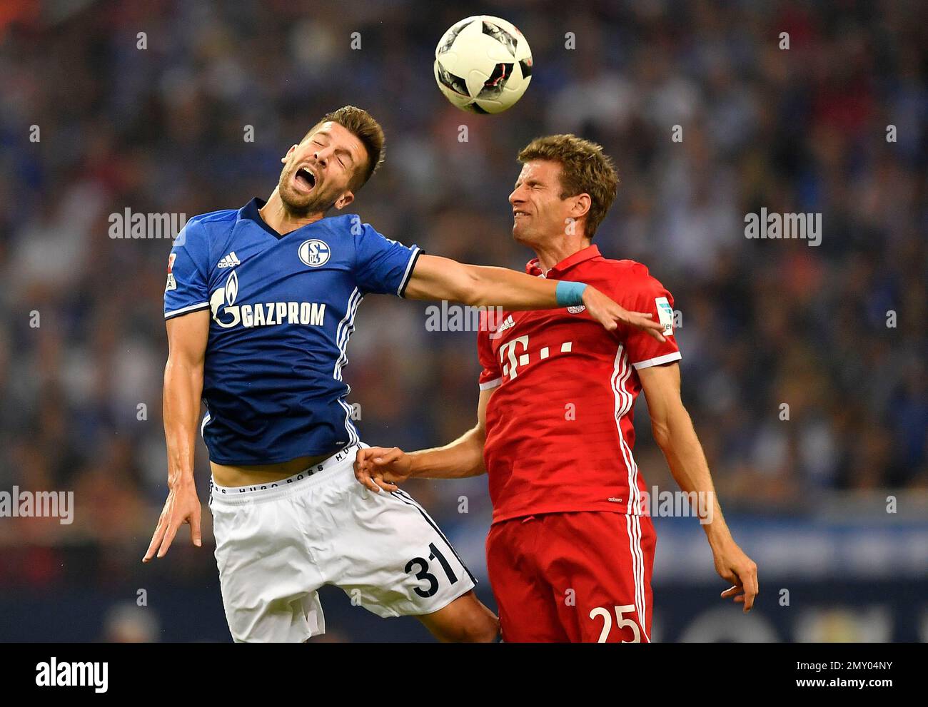 Schalke's Matija Nastasic, left, and Bayern's Thomas Mueller challenge for the ball during the German Bundesliga soccer match between FC Schalke 04 and Bayern Munich in Gelsenkirchen, Germany, Friday, Sept. 9, 2016. (AP Photo/Martin Meissner) Banque D'Images