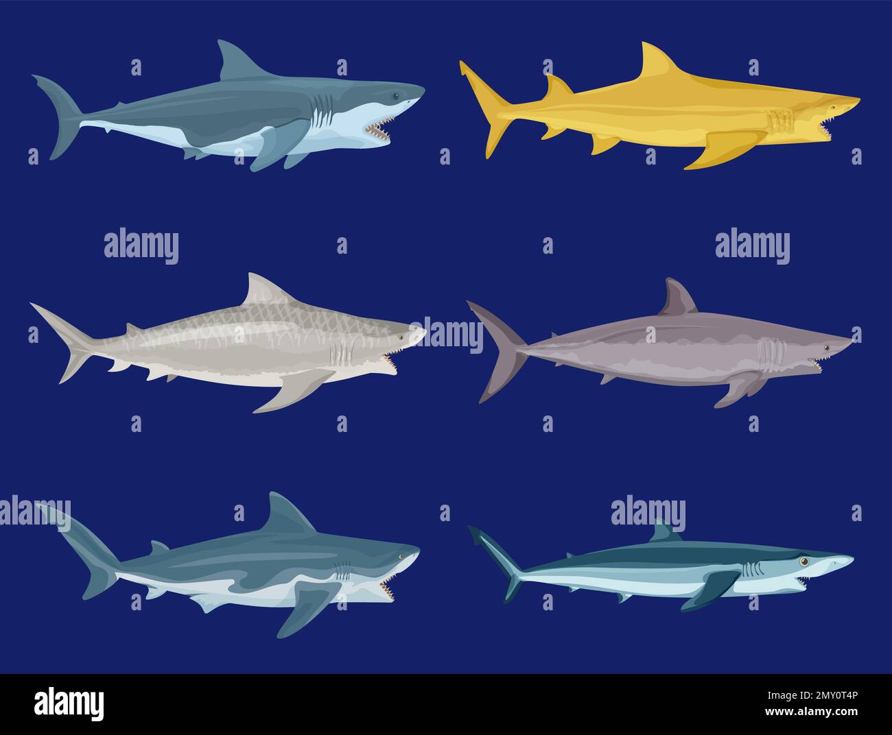 Attaquez les requins à plat avec des images isolées de poissons prédateurs de couleur sur fond bleu illustration vectorielle Illustration de Vecteur