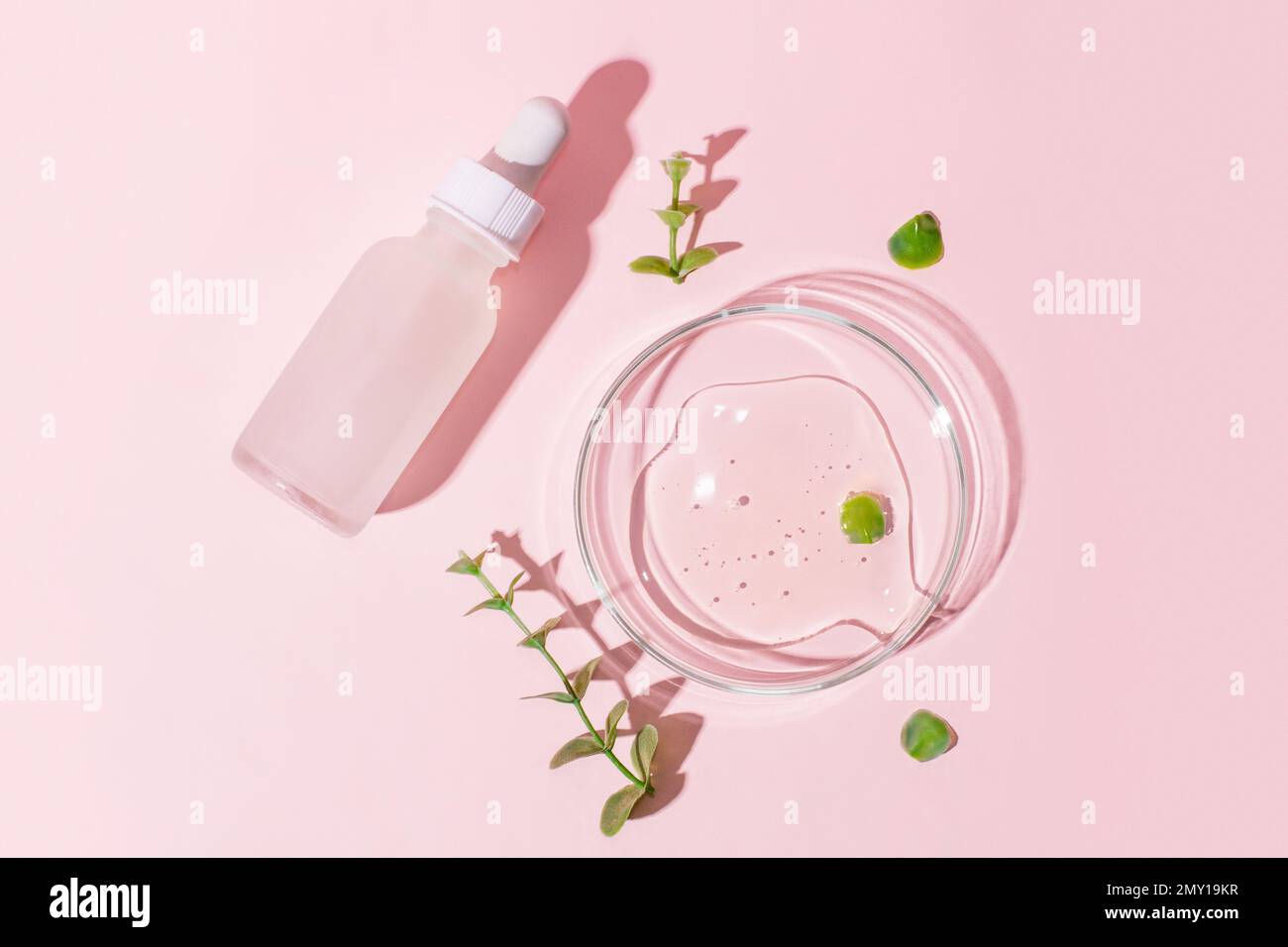 Pot à cosmétiques avec bouchon blanc et pipette sur fond rose. Boîte de Pétri avec gel sur fond rose. Entouré de plantes. Banque D'Images