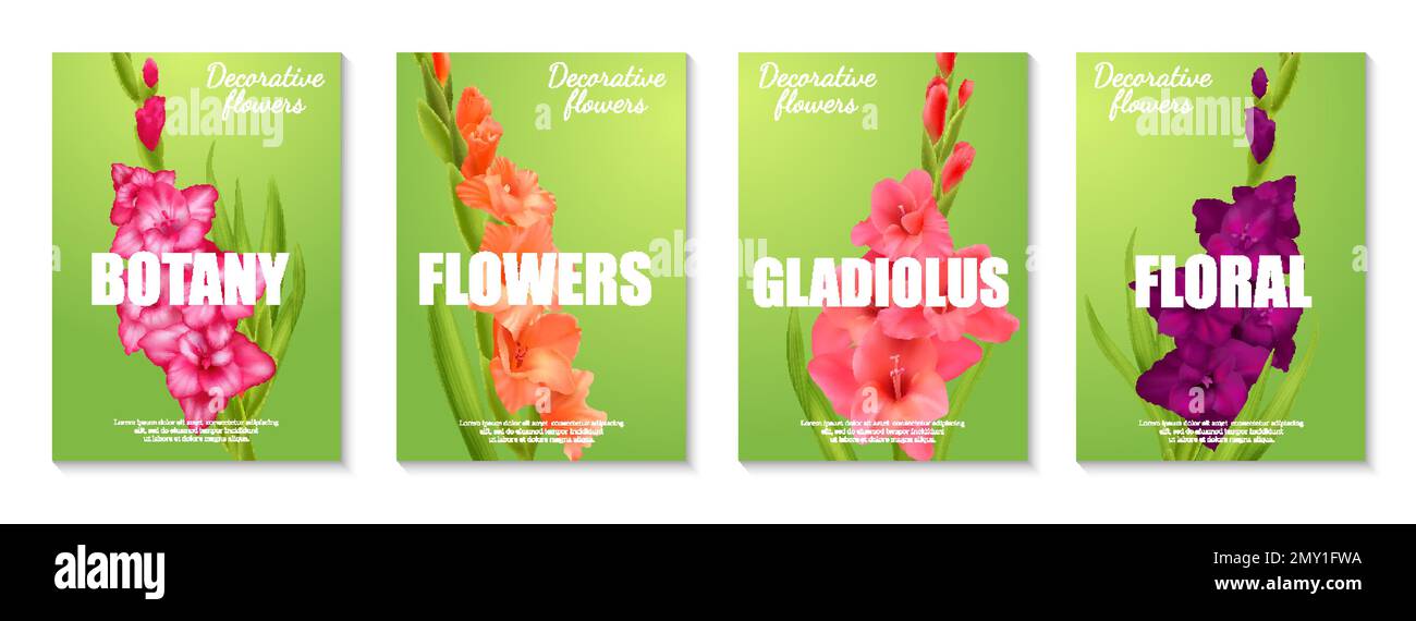 Affiche verticale avec fleurs gladiolus réalistes de différentes couleurs sur fond vert illustration vectorielle isolée Illustration de Vecteur
