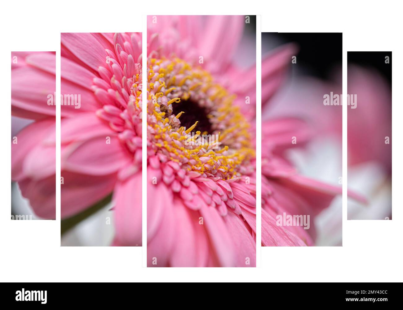 Photos prises pour les amateurs d'art mural un exercice sur table dans la cuisine des aliments sur la planche à découper Banque D'Images