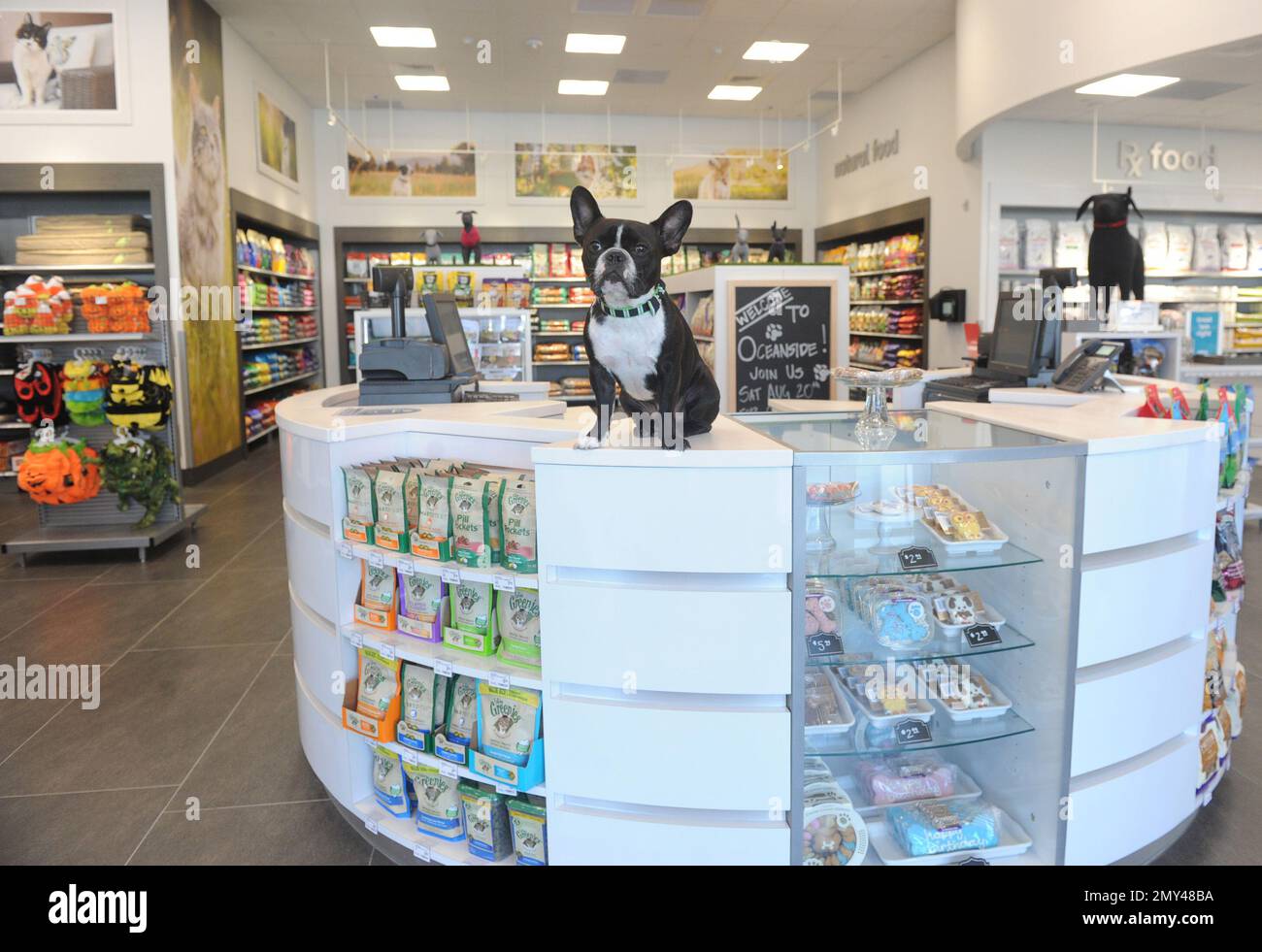 Puppy treats petsmart clearance