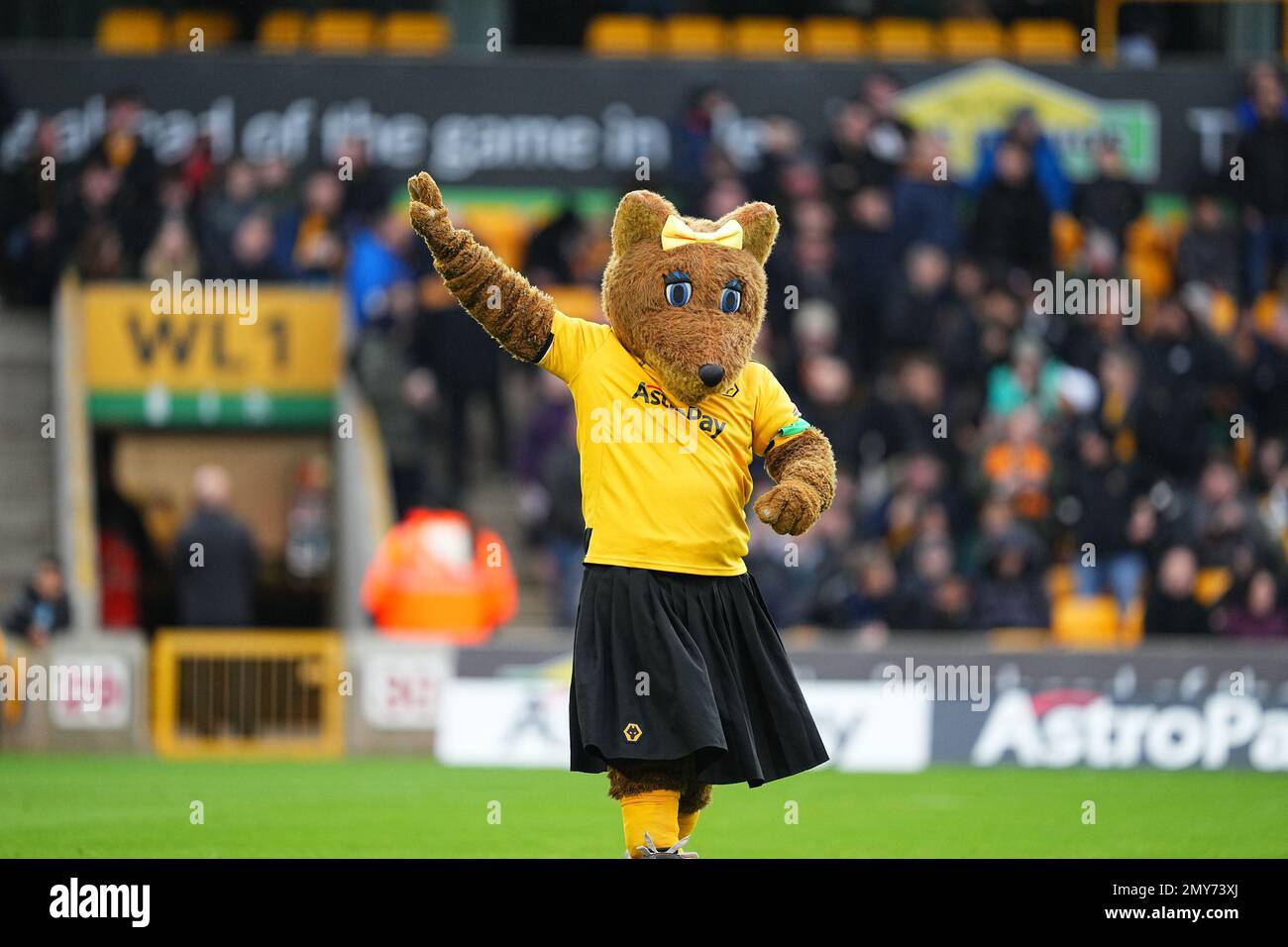 Wolverhampton, Royaume-Uni. 4th févr. 2023. La mascotte de Wolverhampton se hante devant la foule avant le match de la Premier League entre Wolverhampton Wanderers et Liverpool à Molineux, Wolverhampton, Angleterre, le 4 février 2023. Photo de Scott Boulton. Utilisation éditoriale uniquement, licence requise pour une utilisation commerciale. Aucune utilisation dans les Paris, les jeux ou les publications d'un seul club/ligue/joueur. Crédit : UK Sports pics Ltd/Alay Live News Banque D'Images