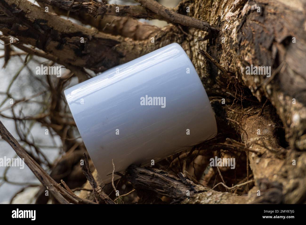 Une photo en gros plan d'une tasse blanche dans un cadre paisible du parc, mettant en valeur la beauté et la sérénité d'une pause au milieu de la nature Banque D'Images