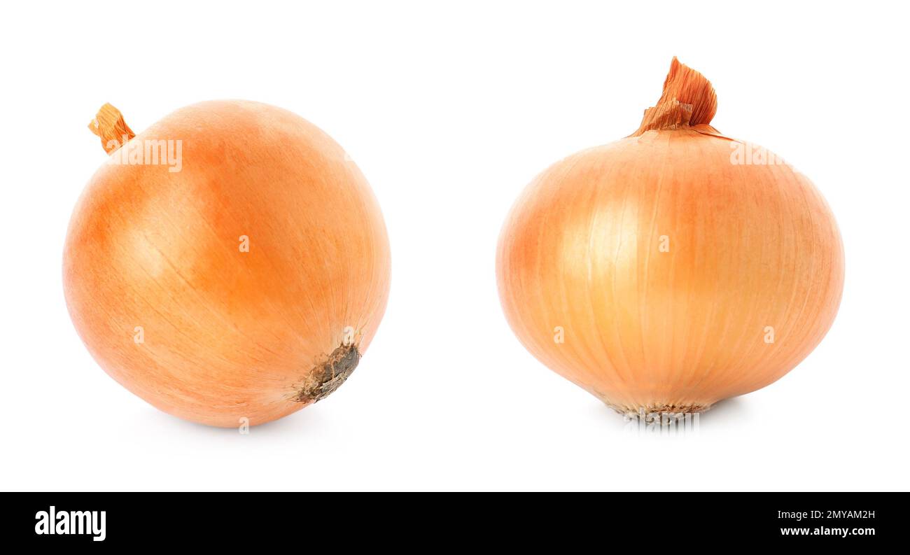 Deux bulbes d'oignon jaune isolés sur blanc Banque D'Images