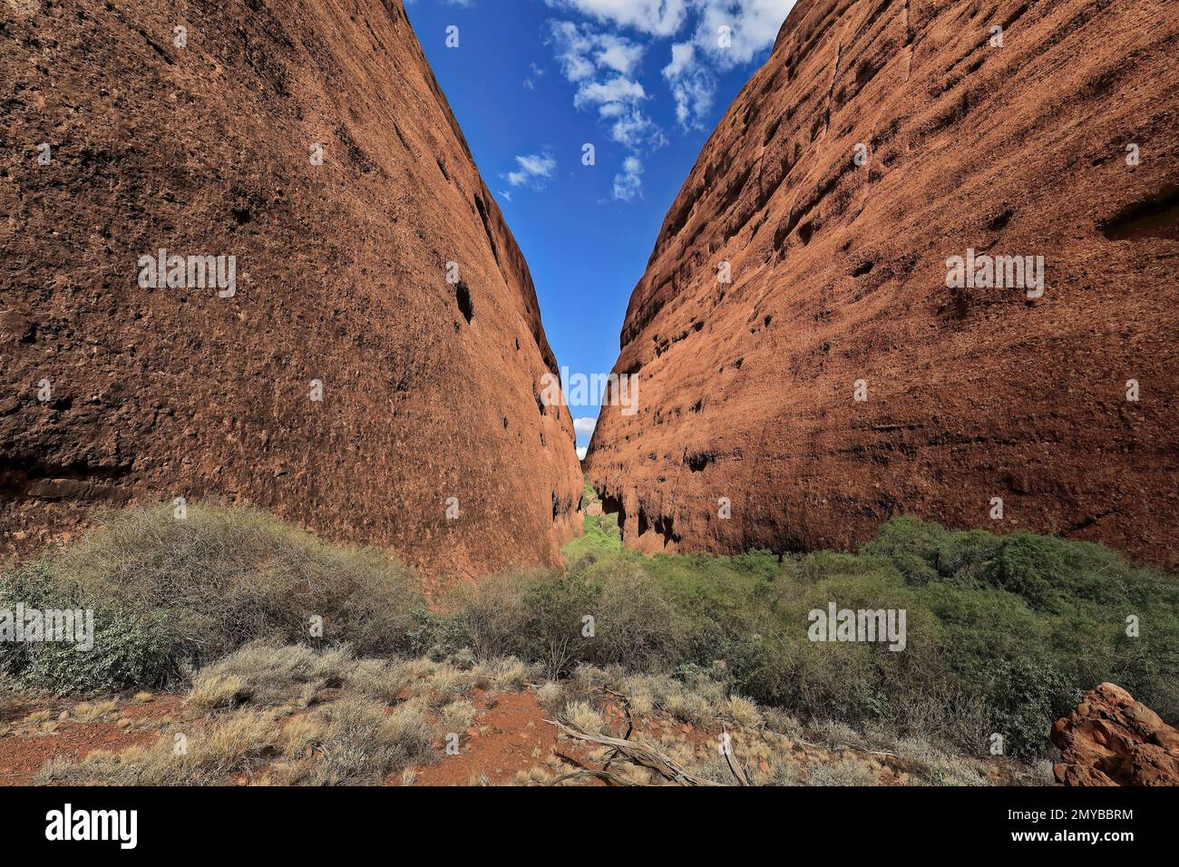 474 falaises abruptes des dômes qui encadrent la gorge de Walpa vu de la promenade le long du ravin-Kata Tjuta. NT-Australie. Banque D'Images