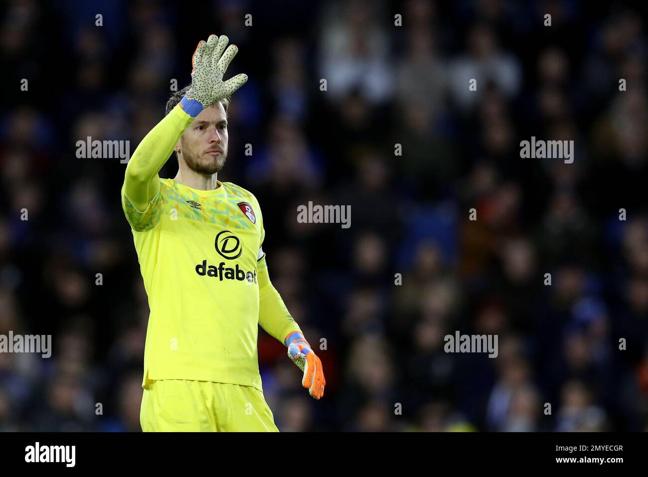 Brighton et Hove, Angleterre, le 4th février 2023. Neto de Bournemouth lors du match de la Premier League au stade AMEX, Brighton et Hove. Le crédit photo devrait se lire: Paul Terry / Sportimage Banque D'Images