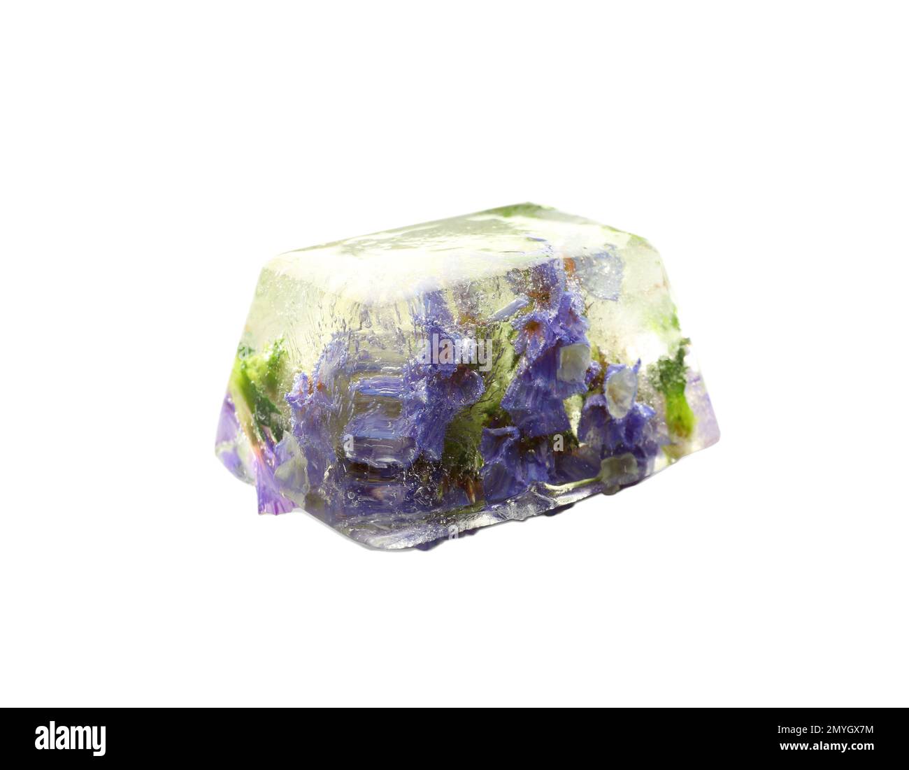 Cube de glace avec fleurs sur fond blanc Banque D'Images