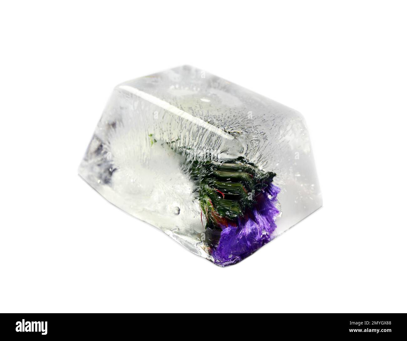 Cube de glace avec fleur sur fond blanc Banque D'Images