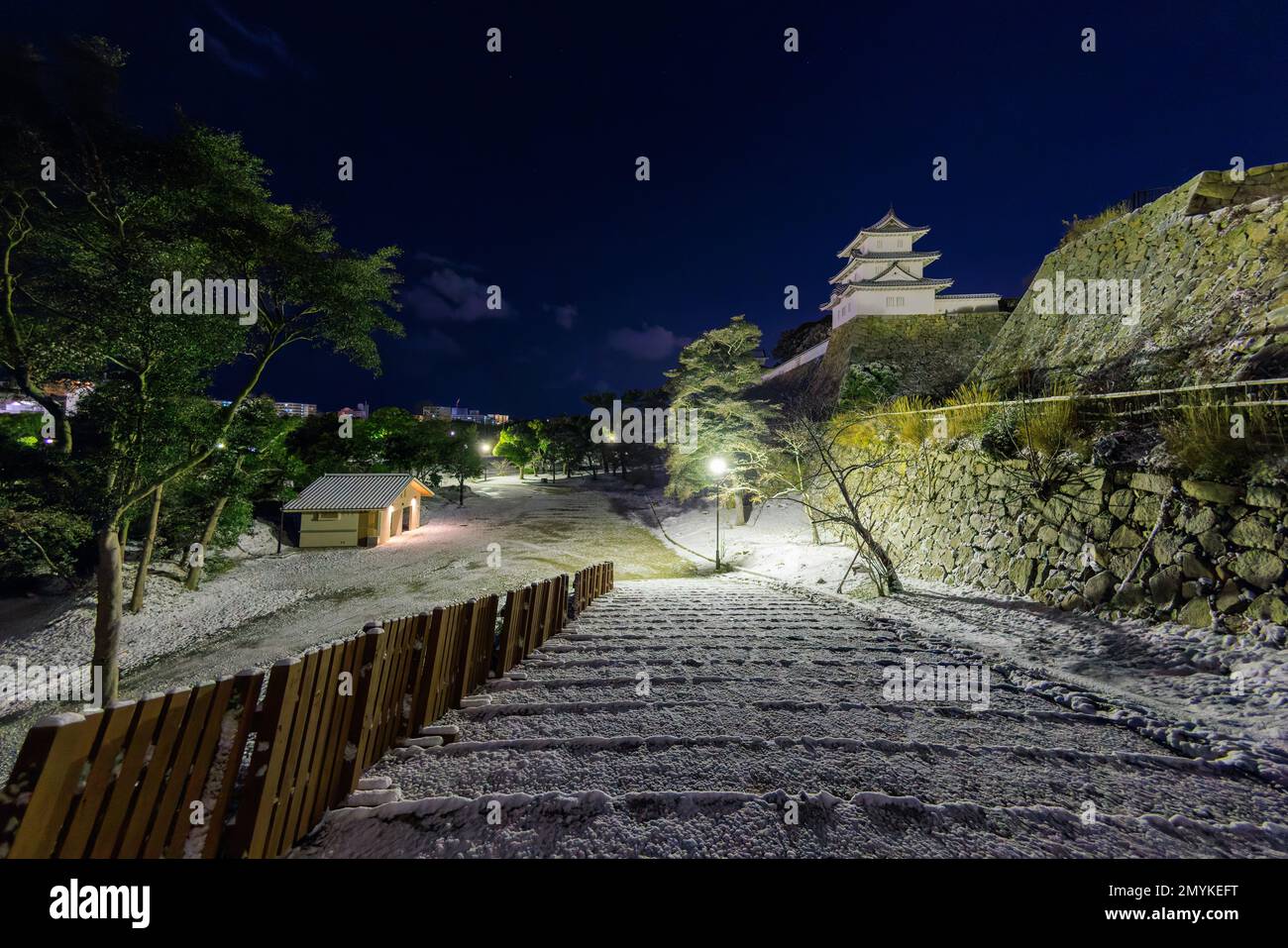 Escaliers enneigés par le mur de pierre et la tour du château dans un parc déserté la nuit froide d'hiver Banque D'Images