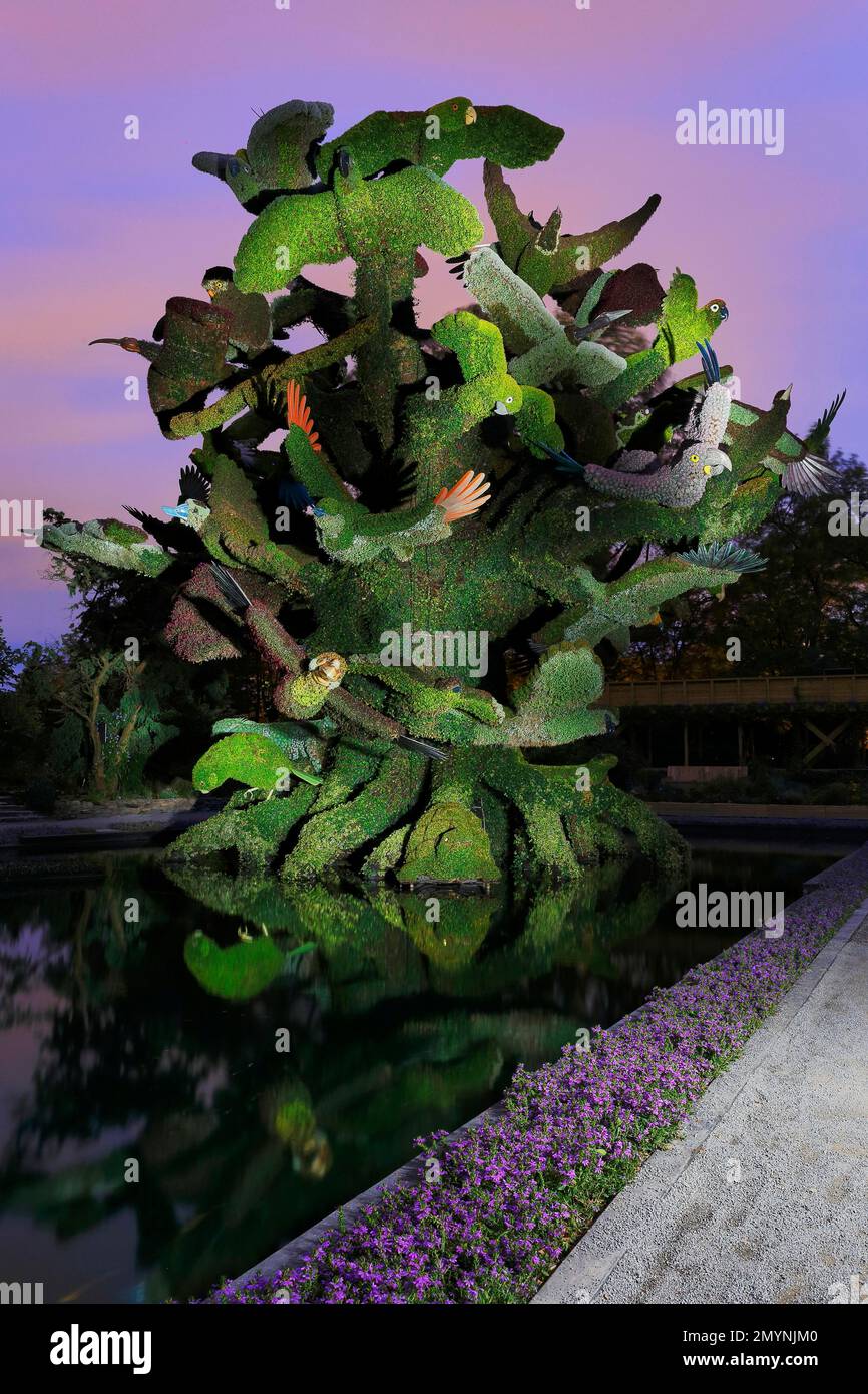 Photographie de peinture légère d'une sculpture de jardin, jardin botanique, Montréal, province de Québec, Canada, Amérique du Nord Banque D'Images