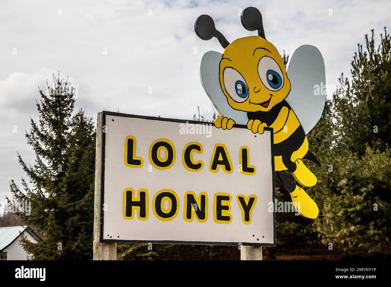 Un panneau de miel local avec une abeille bourdonnante le jour du printemps à Taylors Falls, Minnesota, États-Unis. Banque D'Images