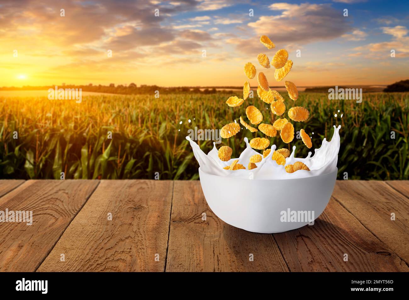 flocons de maïs tombant dans un bol avec du lait sur la table avec un champ vert sur le coucher du soleil comme arrière-plan Banque D'Images