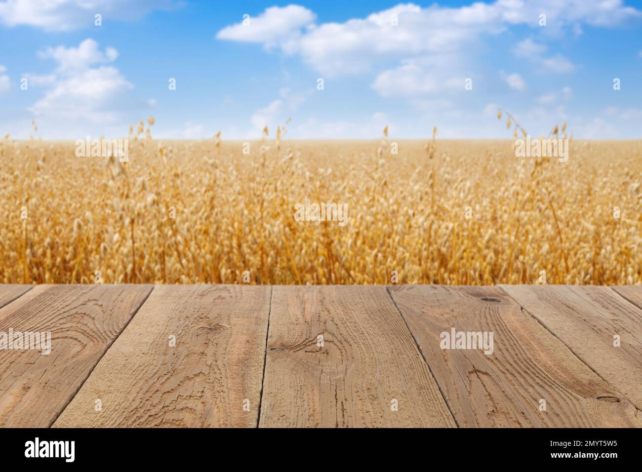 table vide en bois et champ d'avoine de céréales mûr sur le fond Banque D'Images