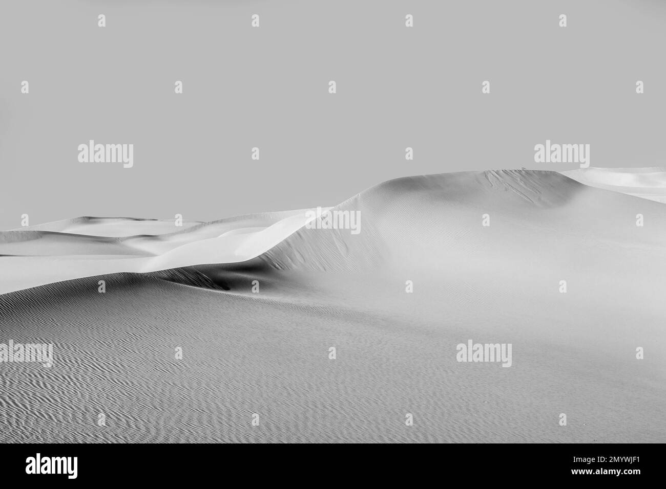 belle dune de sable au lever du soleil dans le désert de sonoran Banque D'Images