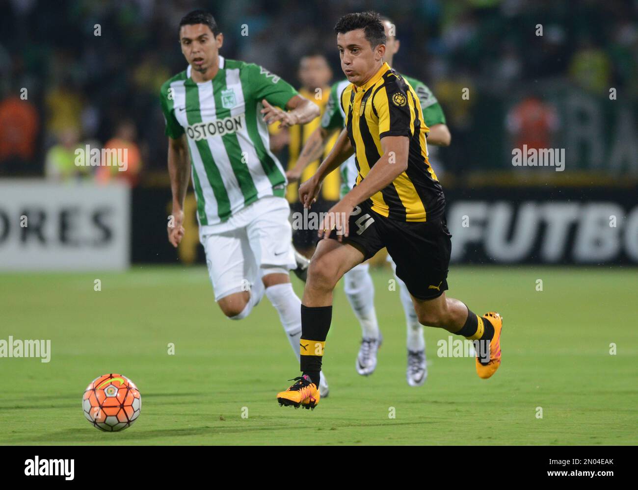 Daniel Bocanegra of Colombia's Atletico Nacional, left, and Carlos Luque of Uruguay’s Penarol, right, go for the ball during a Copa Libertadores soccer match in Medellin, Colombia, Tuesday, March 8, 2016. (AP Photo/Luis Benavides) Banque D'Images