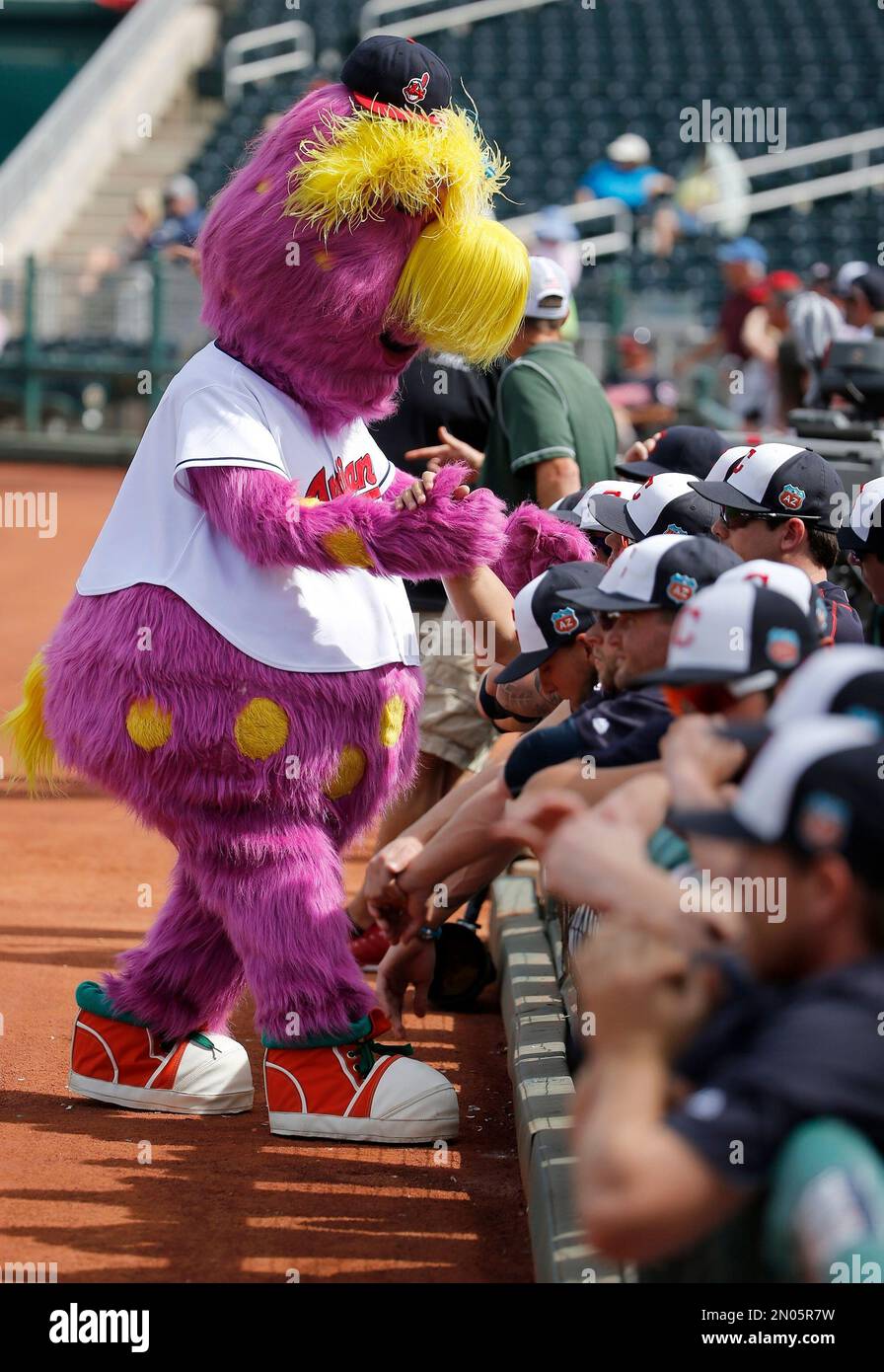 Cleveland Indians mascot Slider shakes hands with the players prior to a Cactus League baseball game against the Cincinnati Reds Wednesday, March 2, 2016, in Goodyear, Ariz. (AP Photo/Ross D. Franklin) Banque D'Images