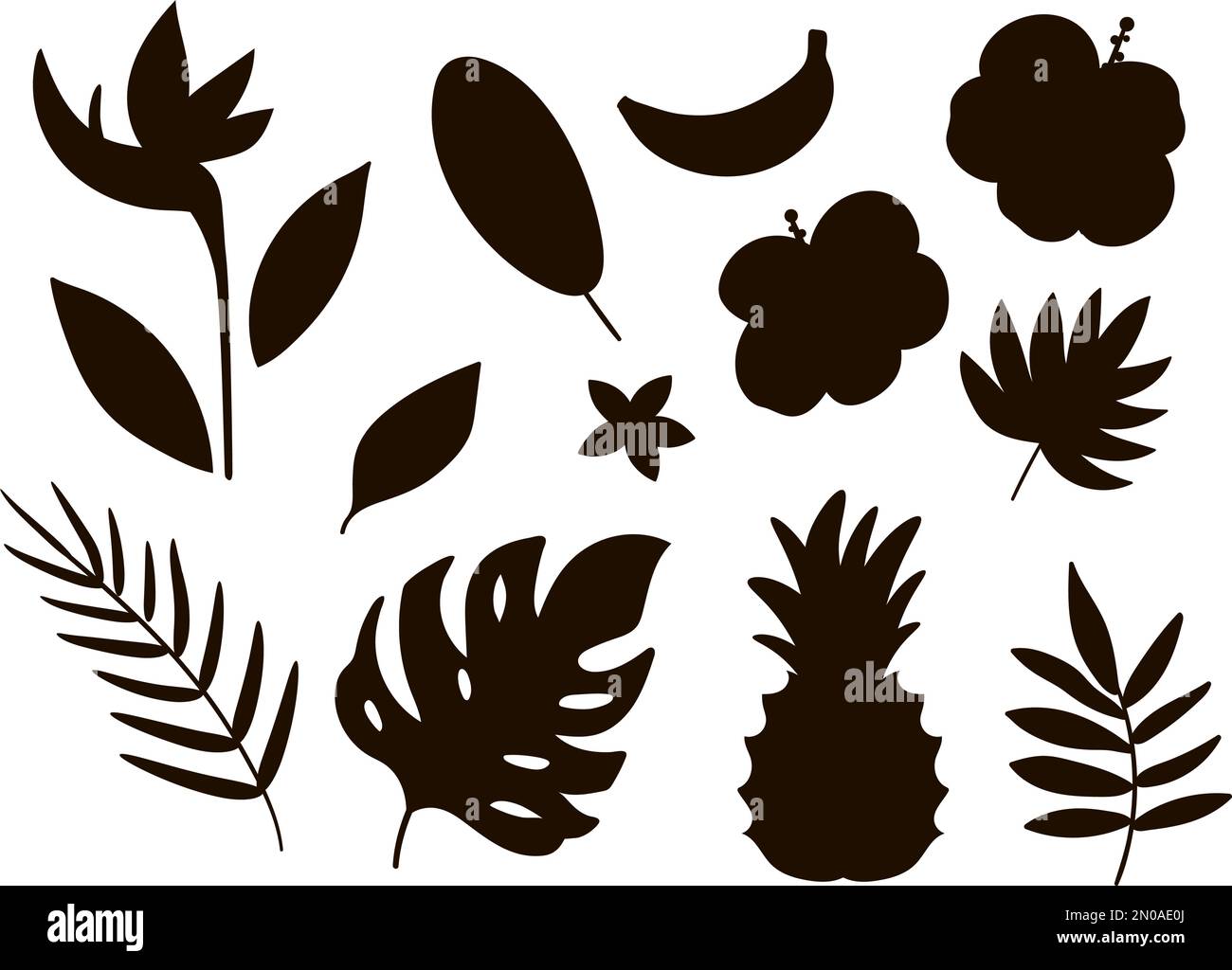 Fruits tropicaux vectoriels, fleurs et silhouettes de feuilles. Illustration noire du feuillage et des fleurs de la jungle. Les plantes exotiques plates dessinées à la main ombres isolées o Illustration de Vecteur