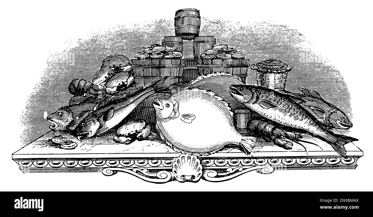 illustration du 19th siècle de la nourriture de mer (isolée sur blanc). Publié dans Systematischer Bilder-Atlas zum conversations-Lexikon, Ikonographische Encyklo Banque D'Images