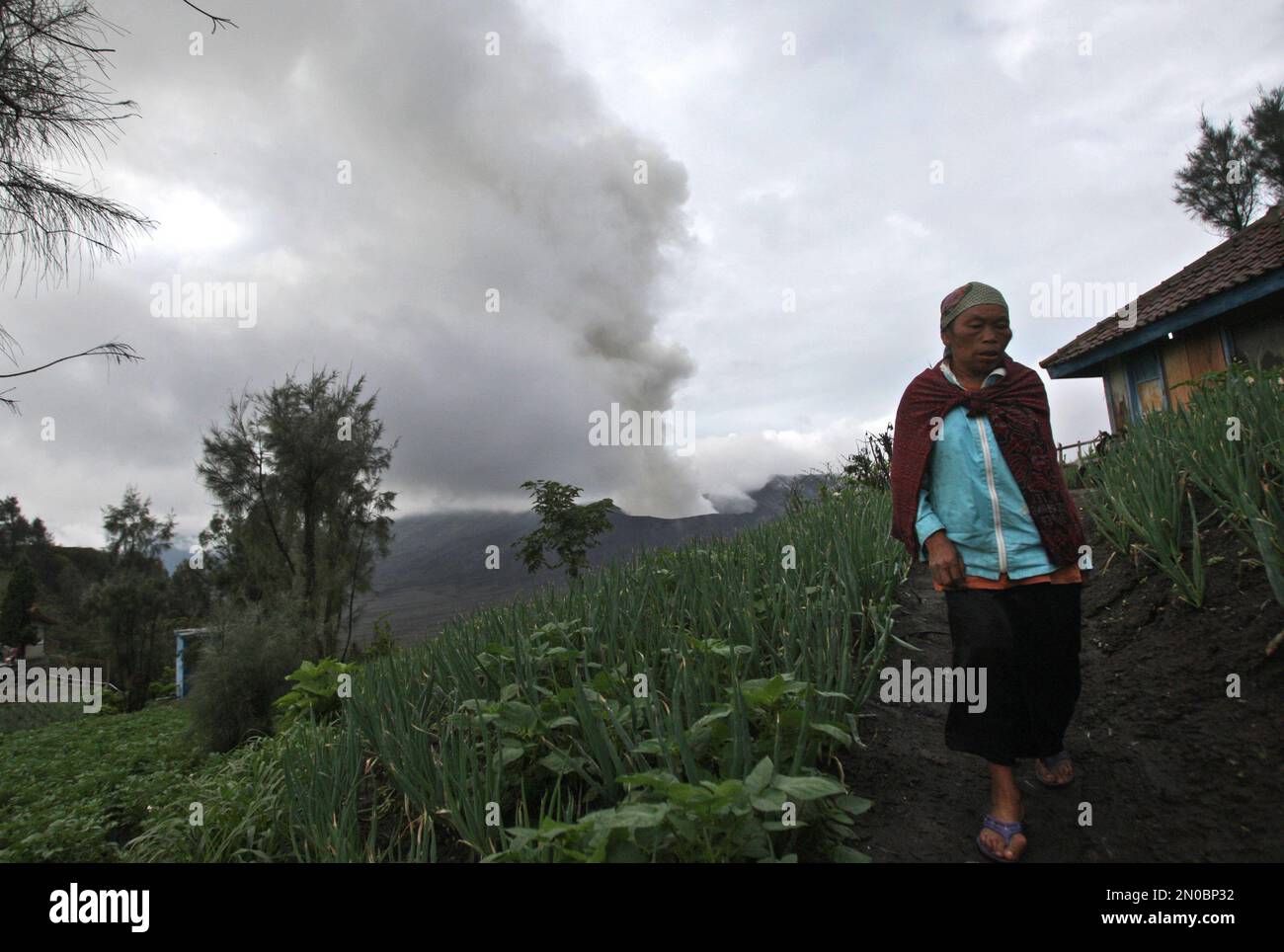 A Villager Walks Near Her House As Mount Bromo Spews Volcanic Materials a-villager-walks-near-her-house-as-mount-bromo-spews-volcanic-materials