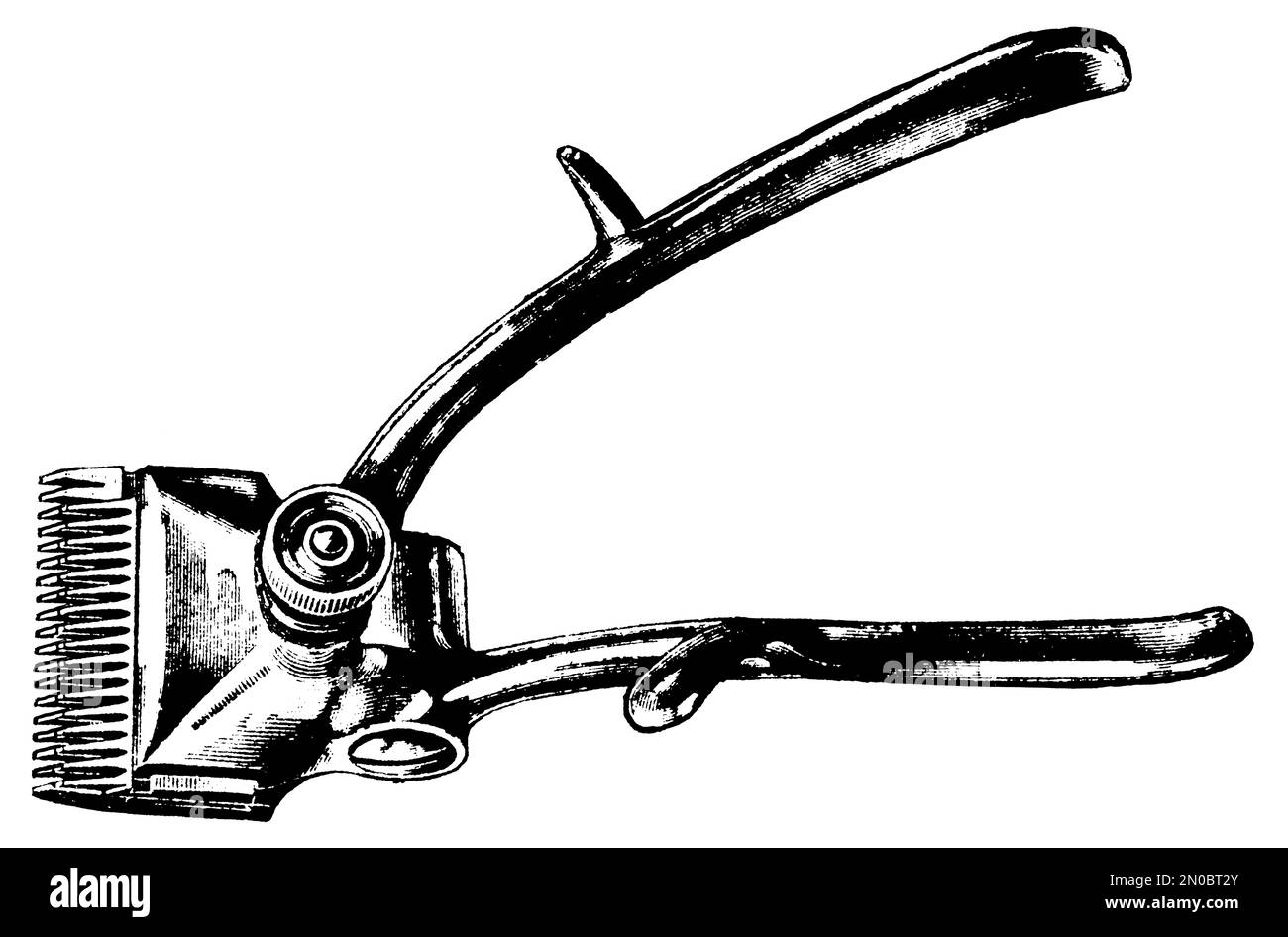 gravure du xixe siècle d'une tondeuse à cheveux manuelle montrant une vue latérale de l'outil de toilettage vintage avec lames, levier et poignées, isolé sur blanc. Banque D'Images