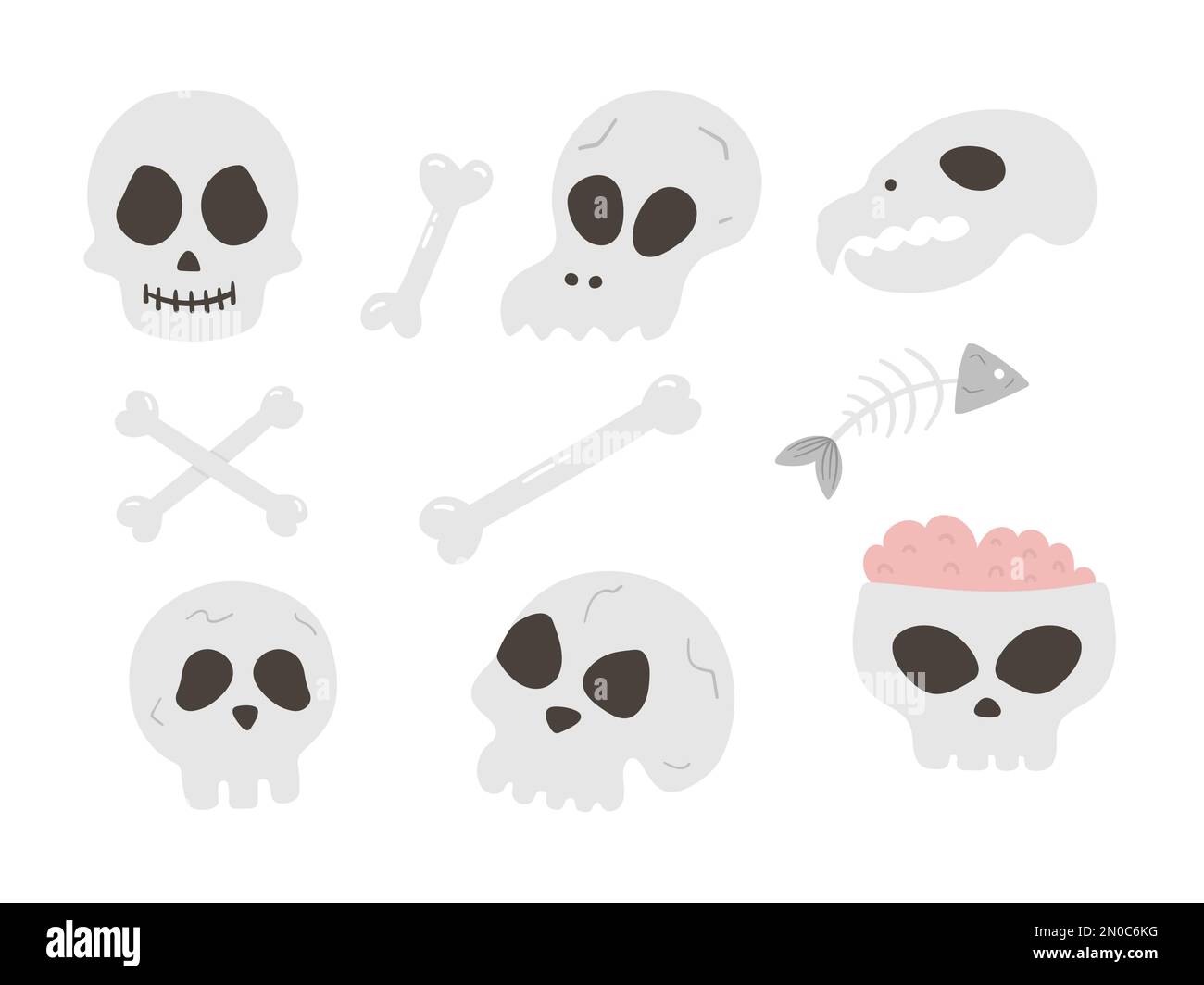 Ensemble de crânes et d'os vectoriels. Halloween Party illustration avec des squelettes humains et animaux. Design effrayant pour la fête de Samhain d'automne. Tous les saints le jour Illustration de Vecteur