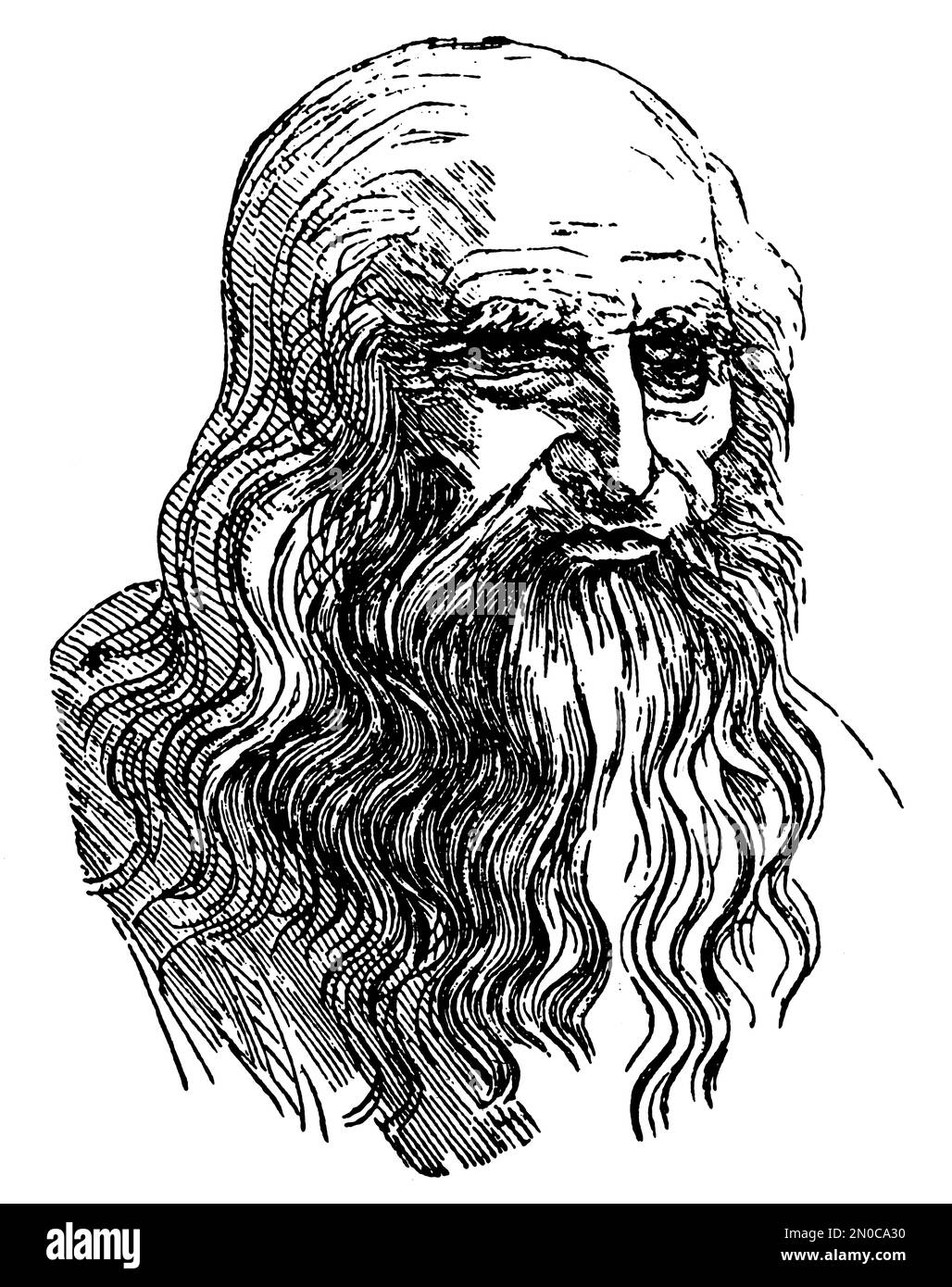 Illustration d'un portrait de Léonard de Vinci datant du 19th siècle (isolé sur blanc). Italien polymath, scientifique, mathématicien, ingénieur, inventeur, anat Banque D'Images