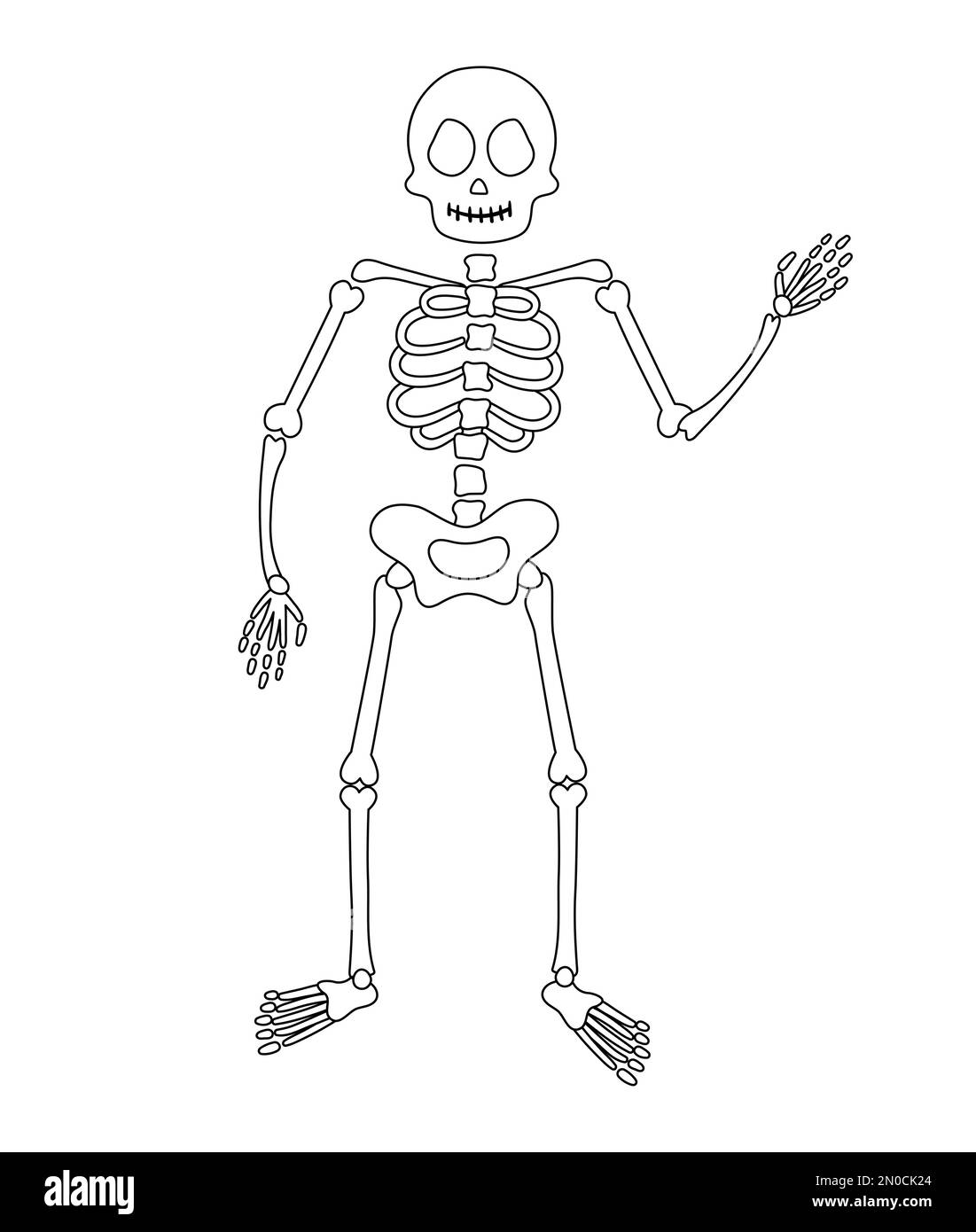 Illustration de fête d'Halloween avec squelette humain. Crâne et os noirs et blancs vectoriels. Design effrayant pour la fête de Samhain d'automne. Tous les saints jour colori Illustration de Vecteur